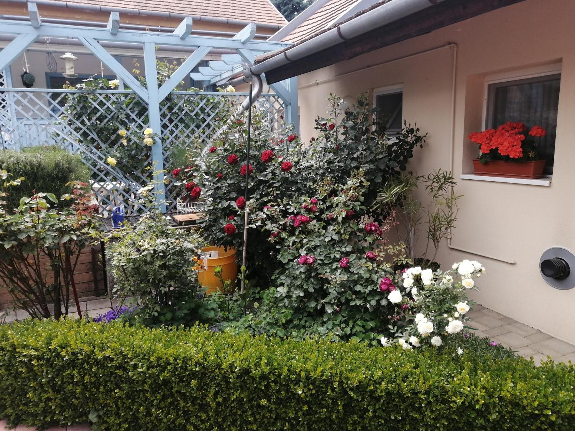 Ferienwohnung Anna Vendeghaz Keszthely Exterior foto